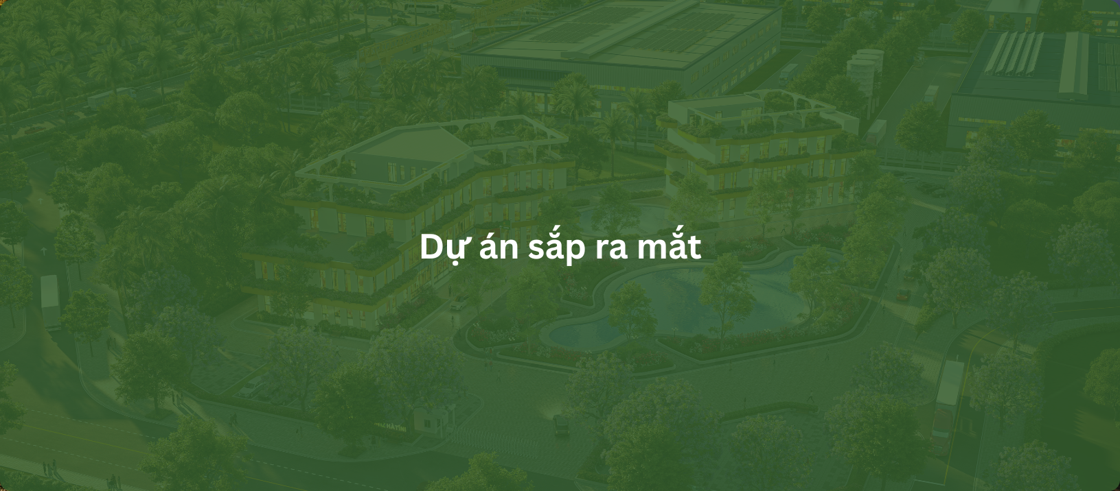 CCN DragonIZ Phú Thọ 1